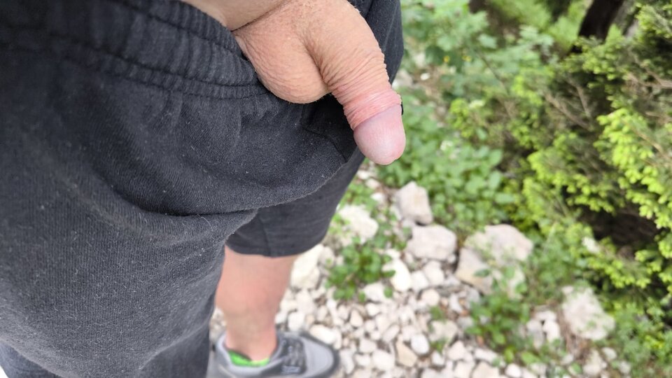 22901f89-d6a4-4134-a8f9-f12e6cf190b8.jpeg - Rado694169