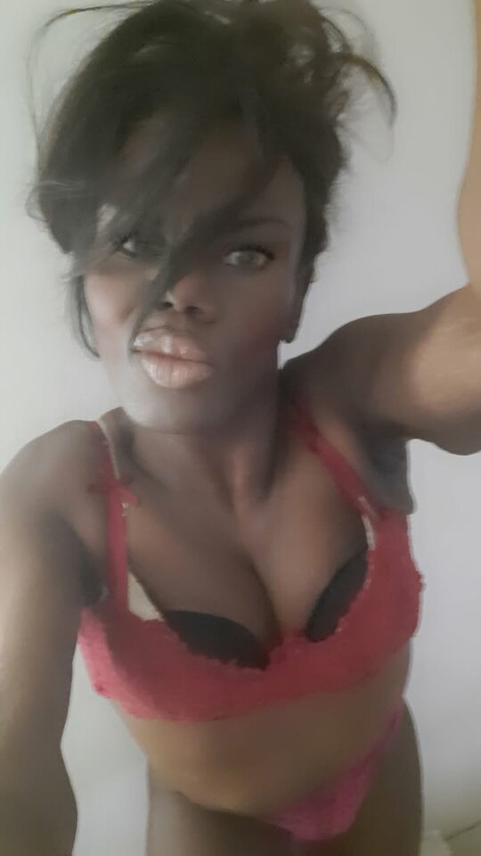 Snapchat-84294639.jpg - OniJegoTrans