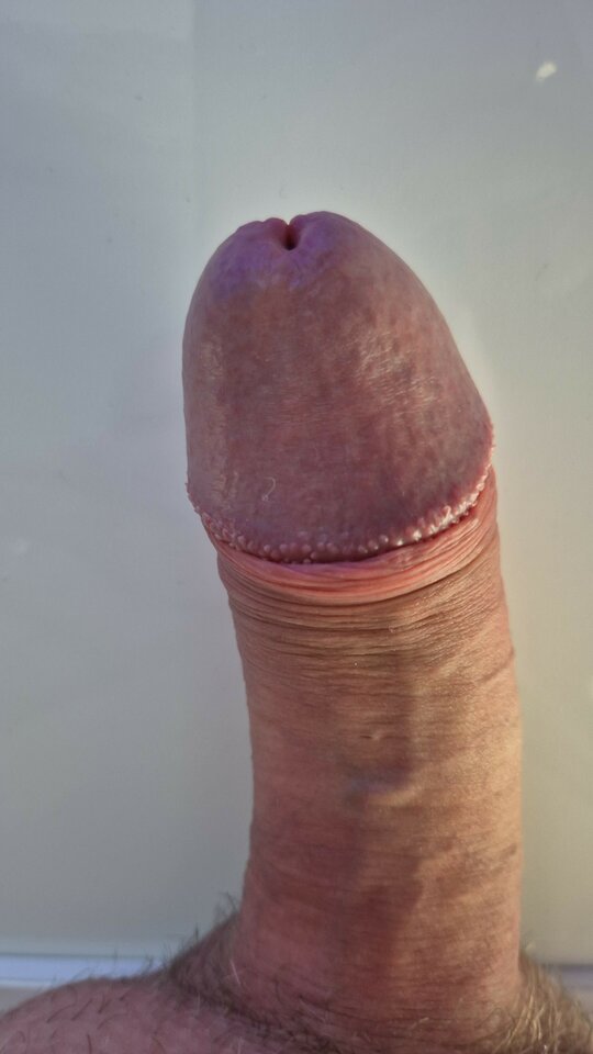 IMG-20251129-WA0016.jpeg - gepar1234