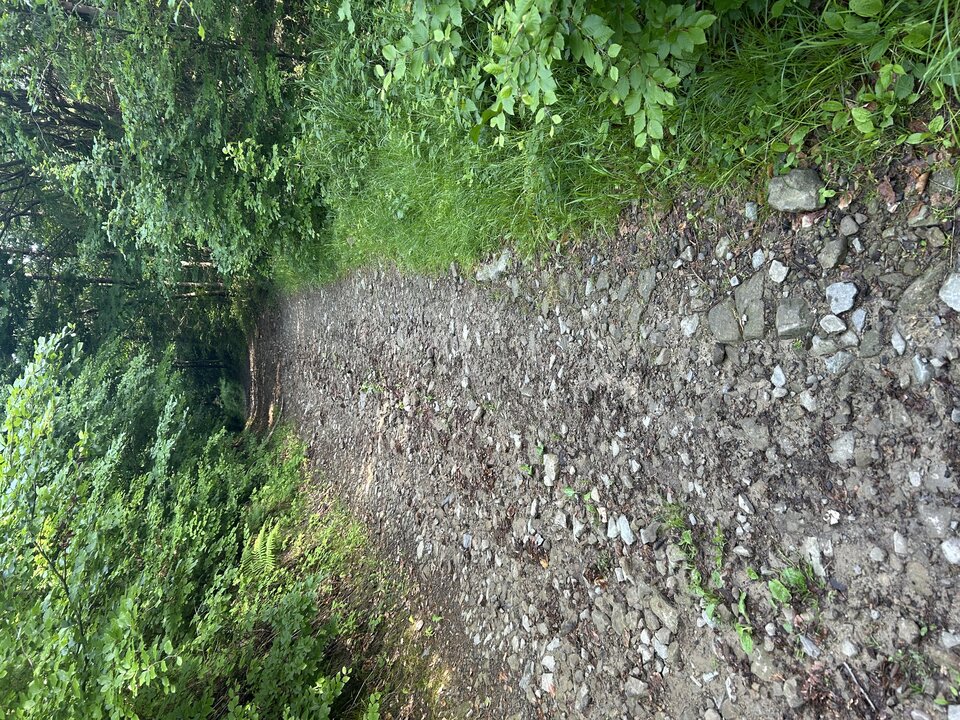 IMG_3230.jpeg - tom745