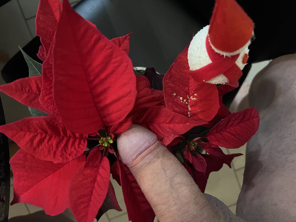 IMG_9681.jpeg - nrw670n