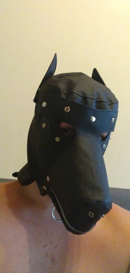 b9c7b52d-b08d-4529-8771-032996671e9d-1_all_1348.jpg - Prawdziwykundel