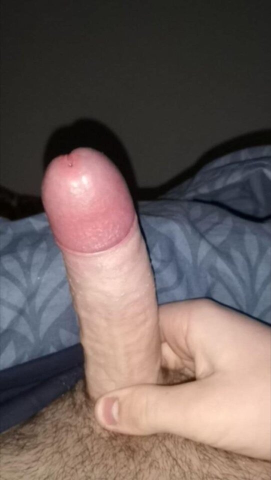 att.6UDaWwwPv-yYVsz81Nzu45WeRcTG0kME094WOSf-3Rc.jpeg - ognikos