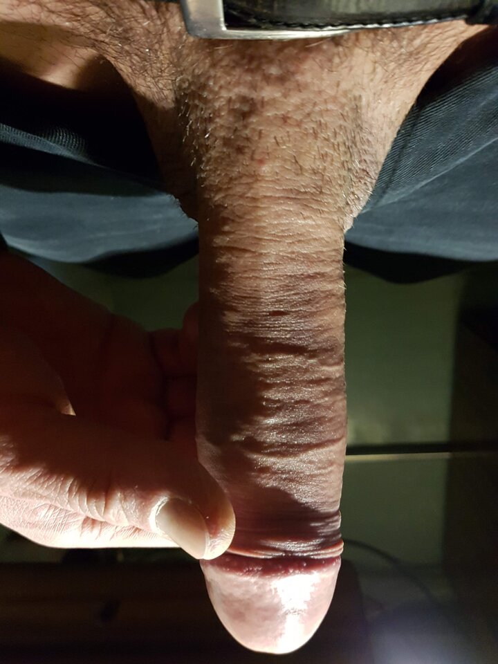 20190406_000529.jpg - Whitelittlecock