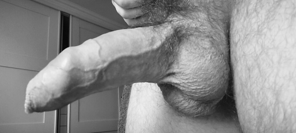 1000036485.jpg - normalny3