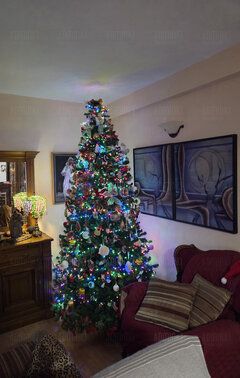 Feliz Navidad 🎅🎅🎅❤️❤️