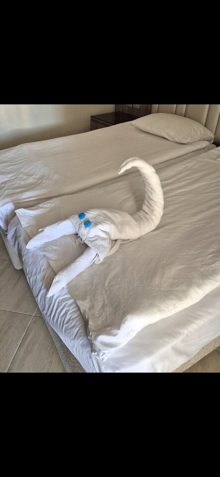 Screenshot_20251203_173903_Gallery.jpg - tomeczek85h