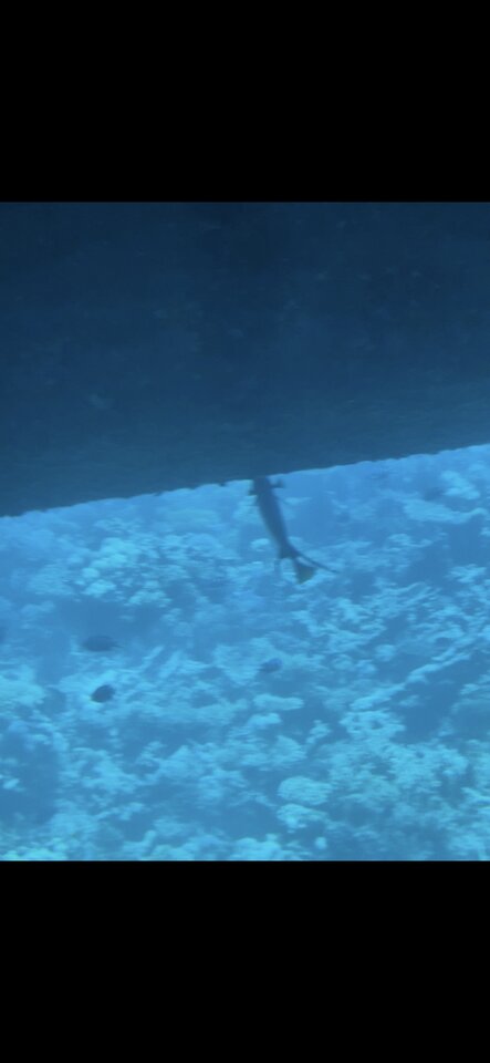 Screenshot_20251203_182004_Gallery.jpg - tomeczek85h