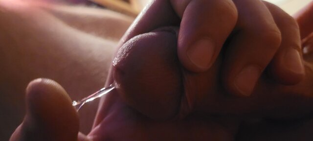 CholernieNiegrzeczni