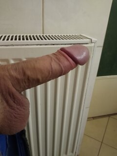 4213.jpg