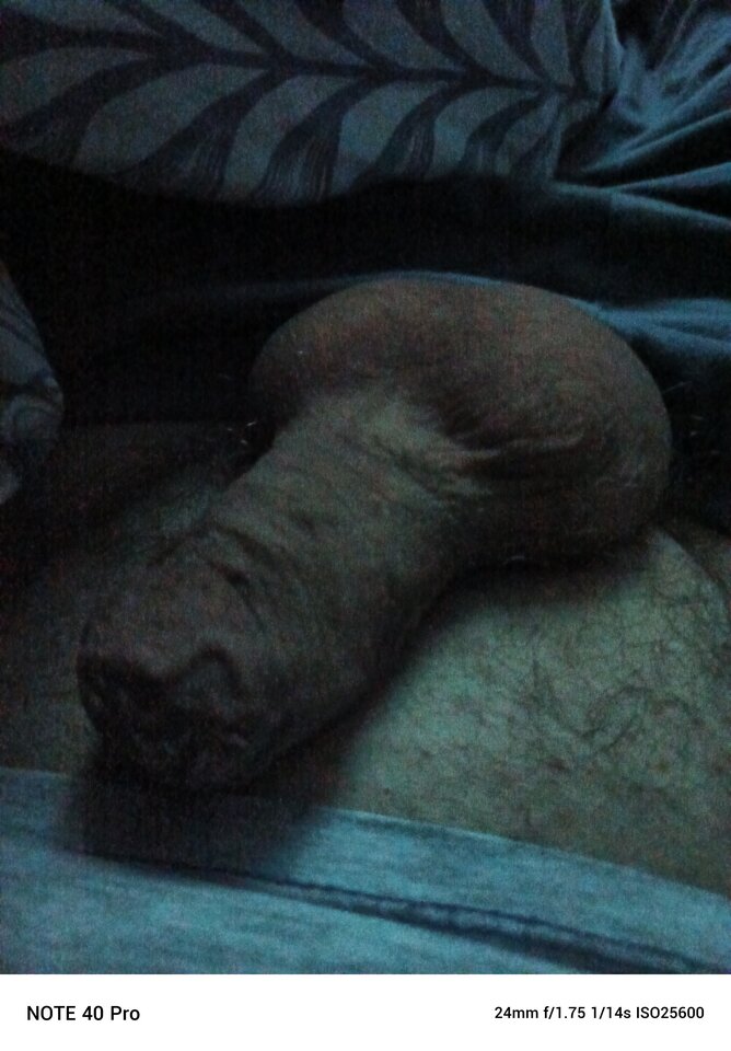 2025-12-0421.08.087676083699581435786.jpg - koniobijca51