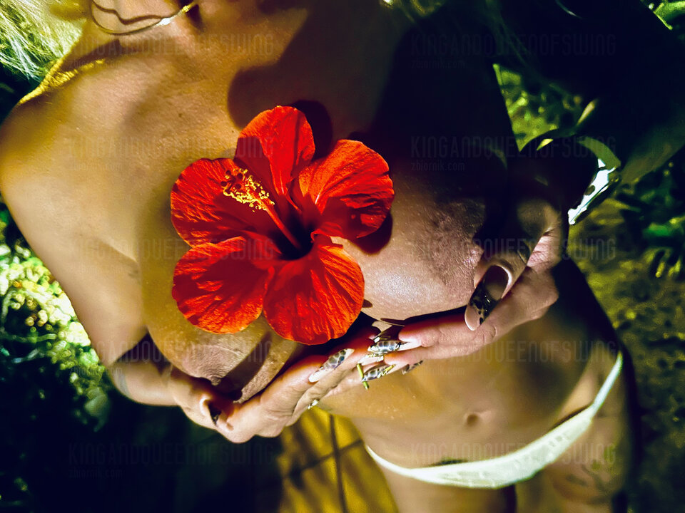 🥳 - KingAndQueenOfSwing