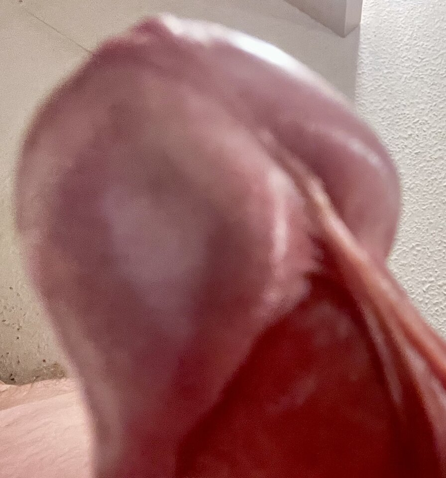 IMG_4307.jpeg - Albert8109