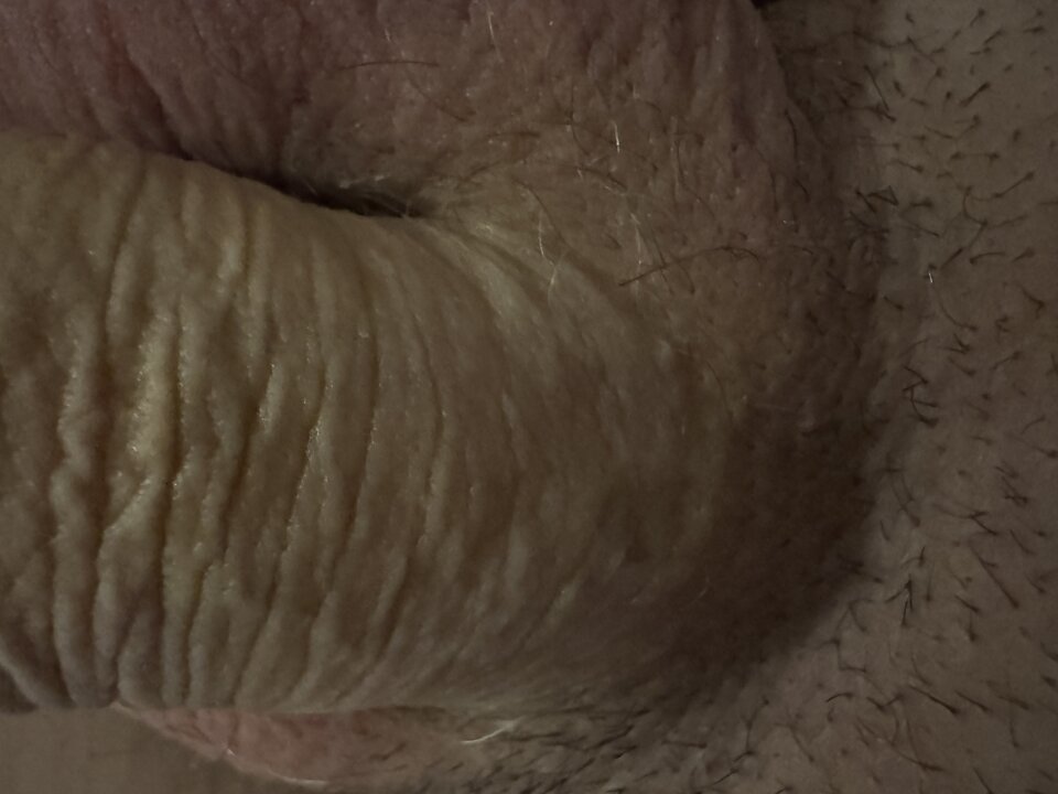 IMG_1312.jpeg - gauganek69