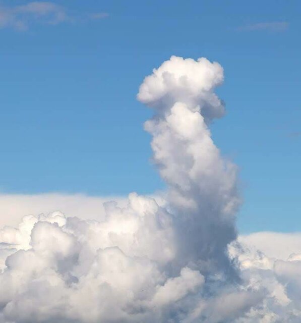 fb8fc716-351f-407d-8100-d1899a5f5ef9-1_all_402.jpg - Mitchelinus