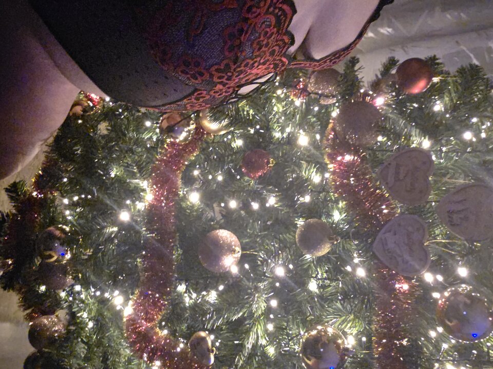 20251205_201429.jpg - Bzykuna