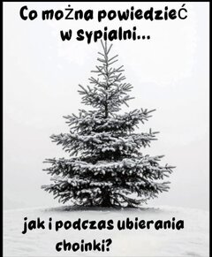 1000130564.jpg