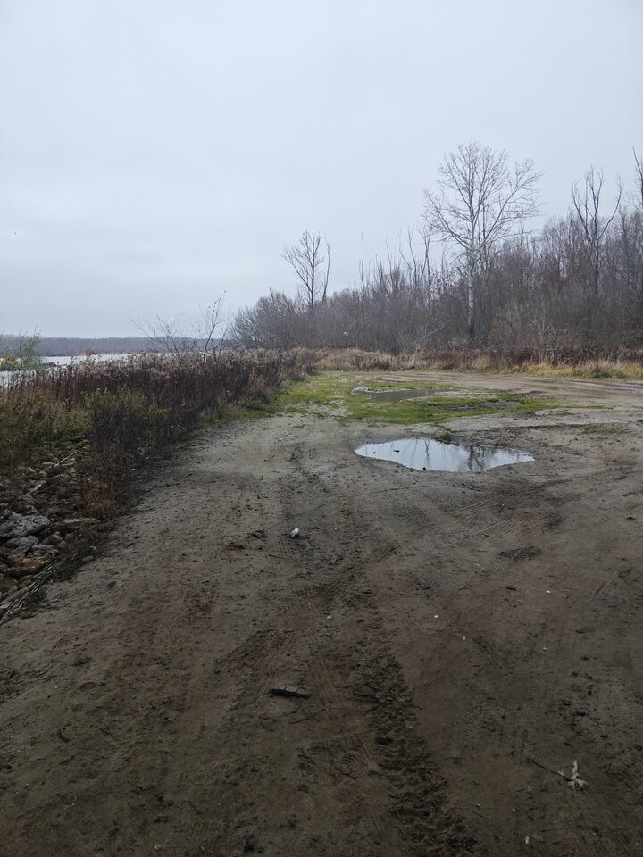 1000002527.jpg - kingamariusz81