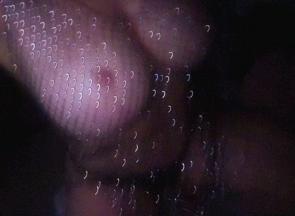 251206_151907_Gallery.jpg - Ciekawinowego2025