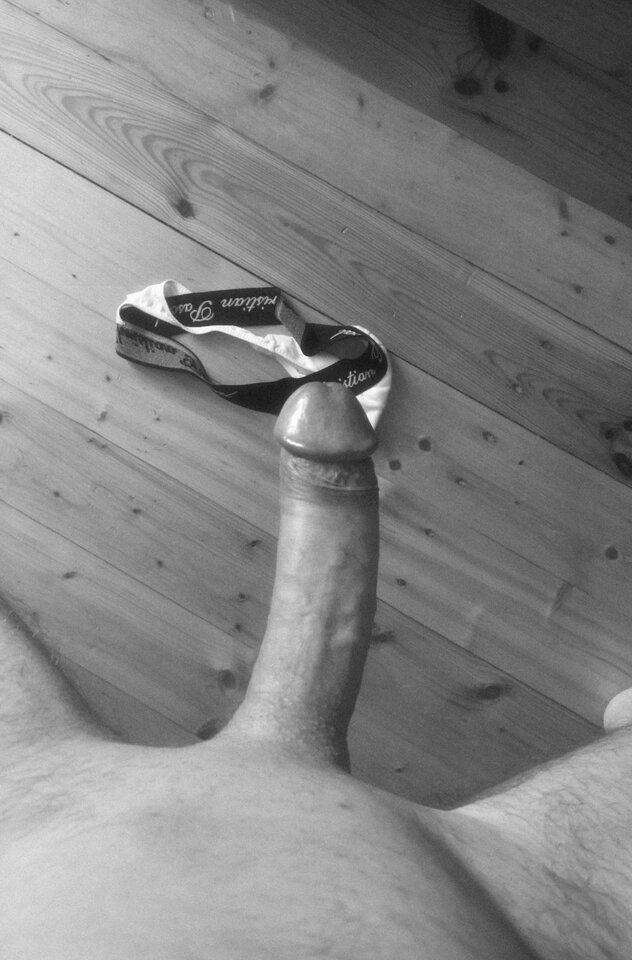 WP_20190617_10_03_47_Rich_LI.jpg - harryraider