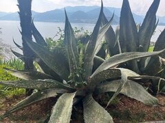 1000000292.jpg