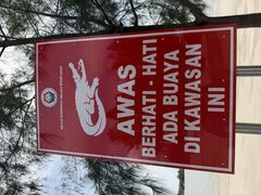 IMG_0156.jpeg