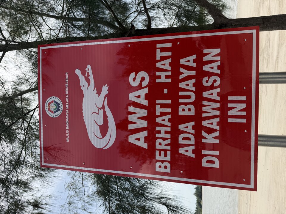 IMG_0156.jpeg - SYMPATYCZNI76