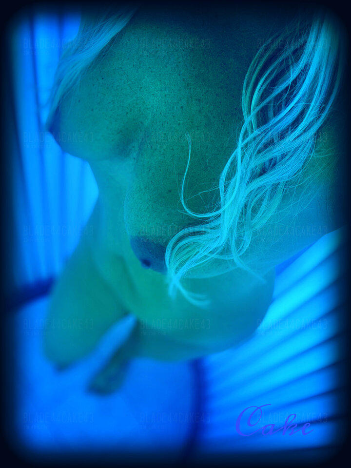 🫦 - Blade44Cake43