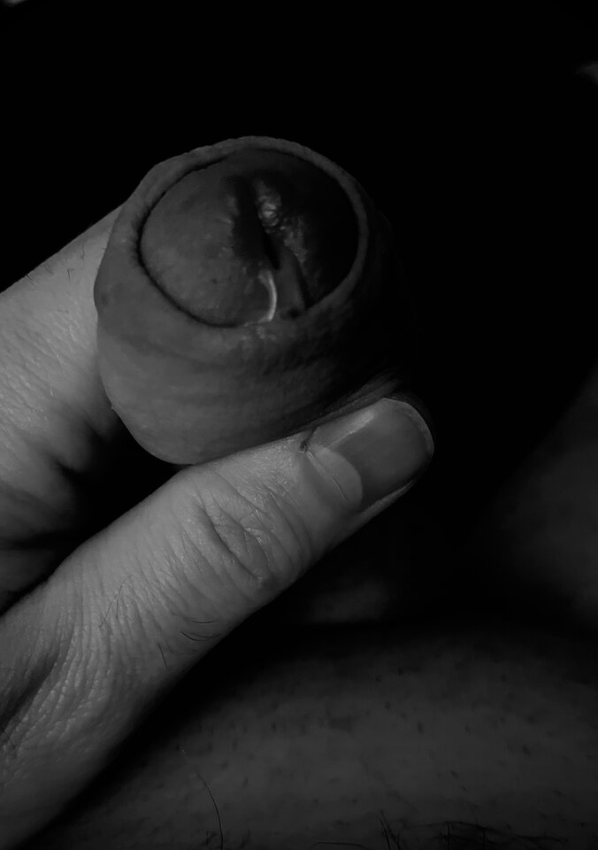 IMG_5118.jpeg - Piotr_Petr