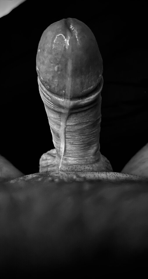 Lukrowany pączek do… - Piotr_Petr