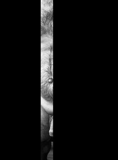 Dzień dobry czy dobry wieczór? ;)