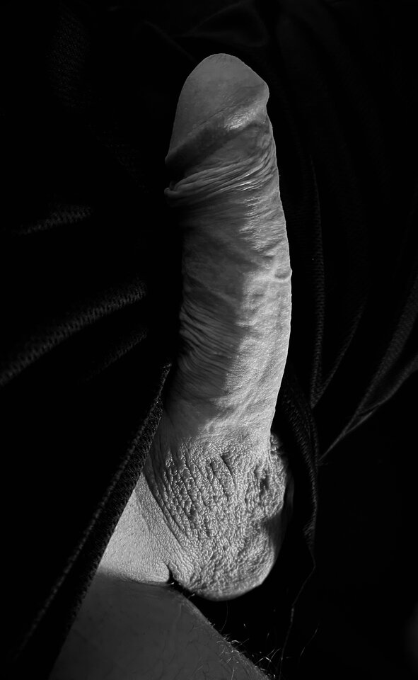 IMG_5609.jpeg - Piotr_Petr