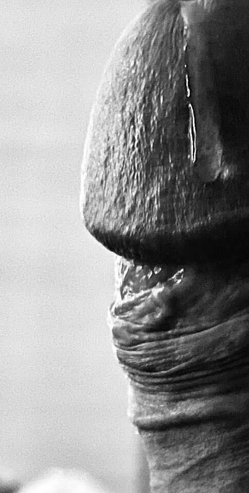 IMG_5916.jpeg - Piotr_Petr