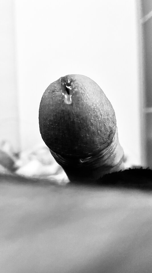 IMG_5813.jpeg - Piotr_Petr