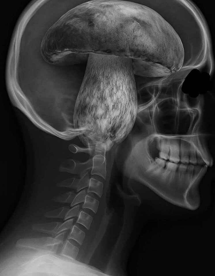 1000015864.jpg - Darkmaster76