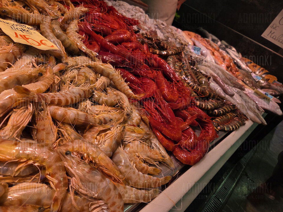 1000048100.jpg - Adminki