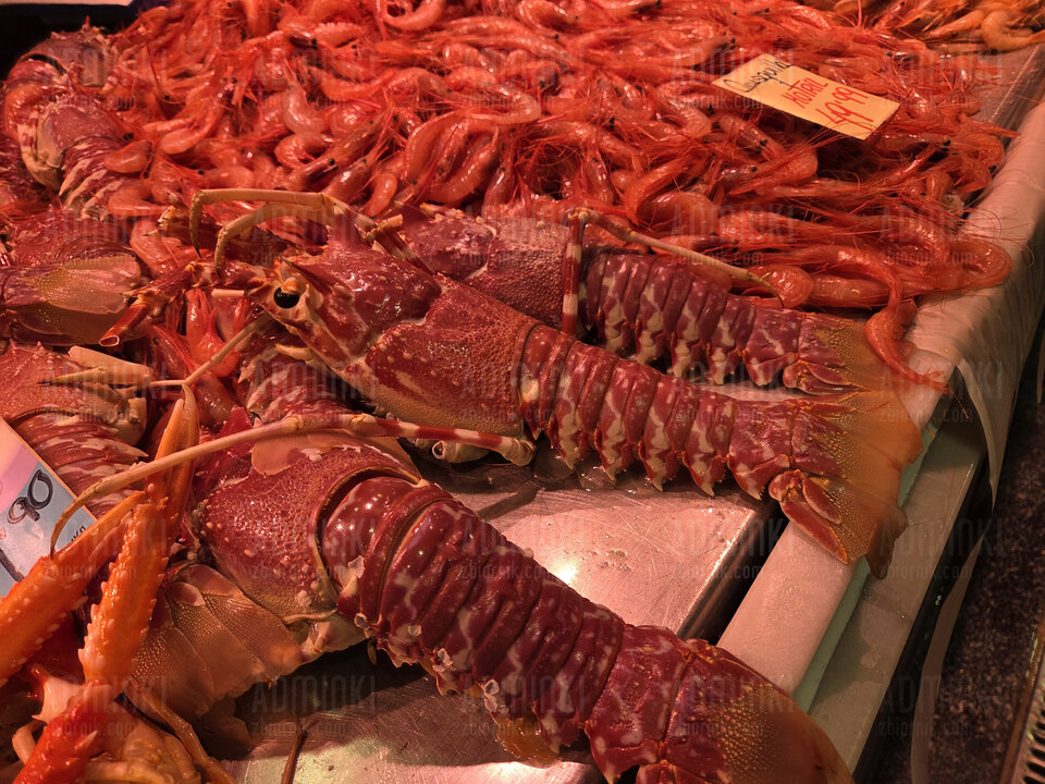 1000048099.jpg - Adminki