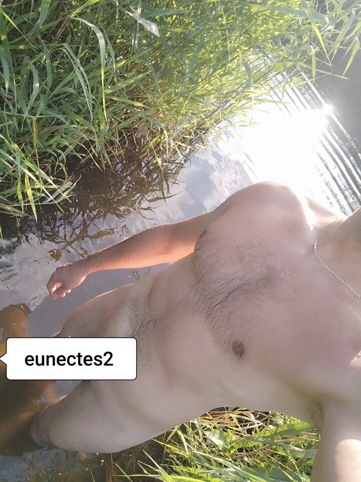 IMG_20251209_182922.jpg - Eunectes2