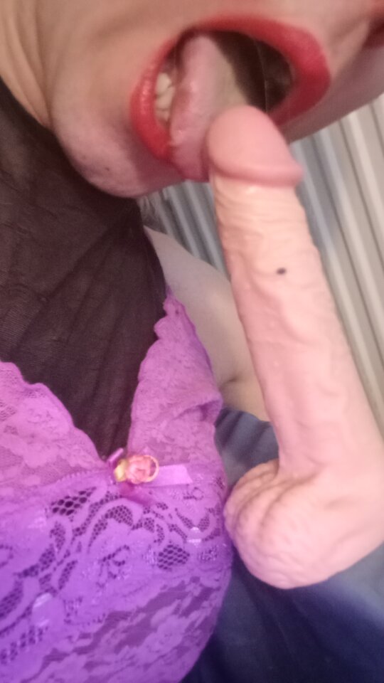 1000023206.jpg - MlodyTrans90