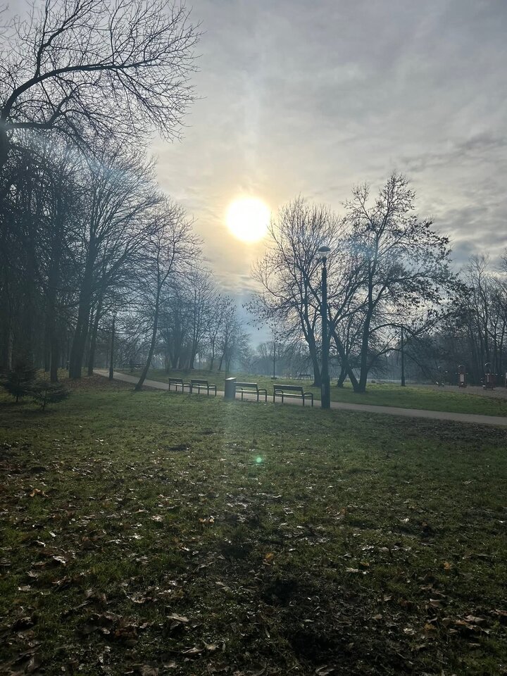 1000023200.jpg - Nicci