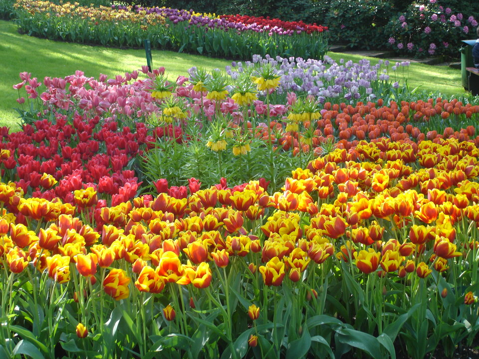 DSC02456.JPG - Twojwybrany