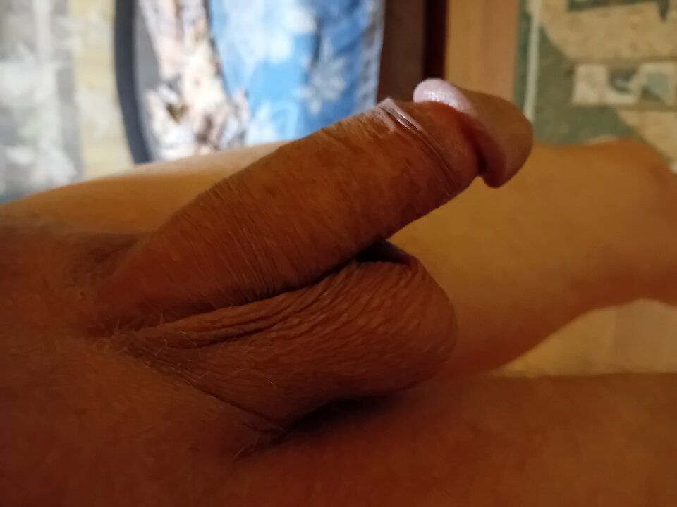 1000009867.jpg - brus13