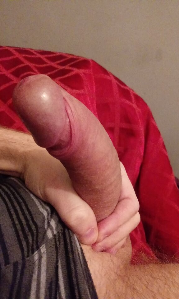 49788131_2442816849125019_8803650687180210176_n.jpg - nemewtf