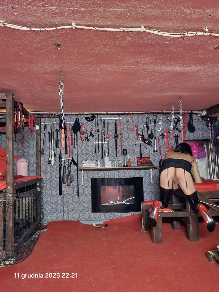 2951.jpg - bitransopole