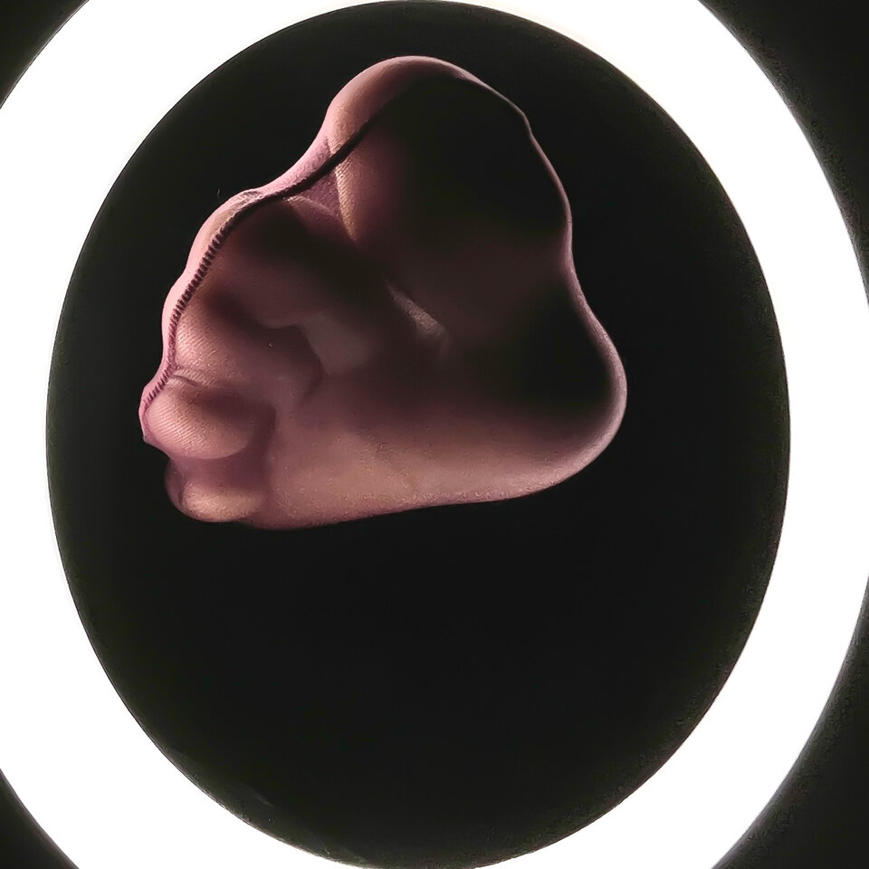 IMG_1925.jpeg - szpilki_rajstopy