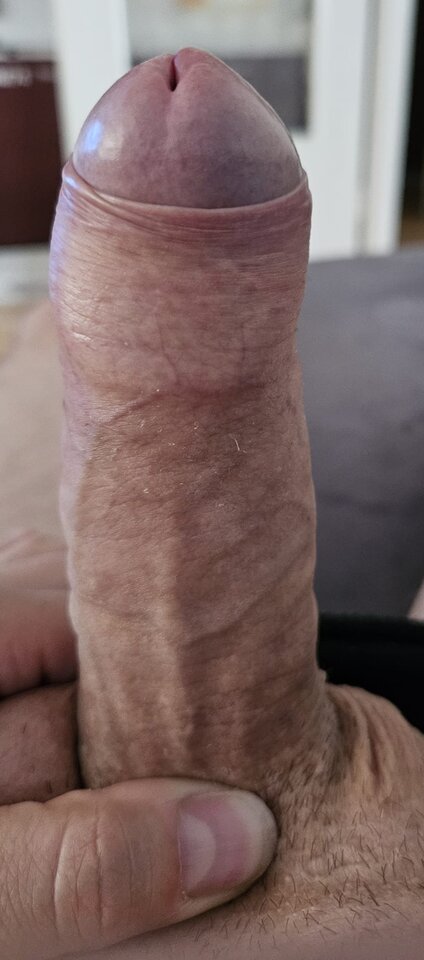 1000027090.jpg - maly_tygrysek