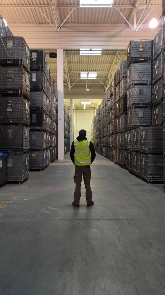 1000019842.jpg - Wieczniemlodym