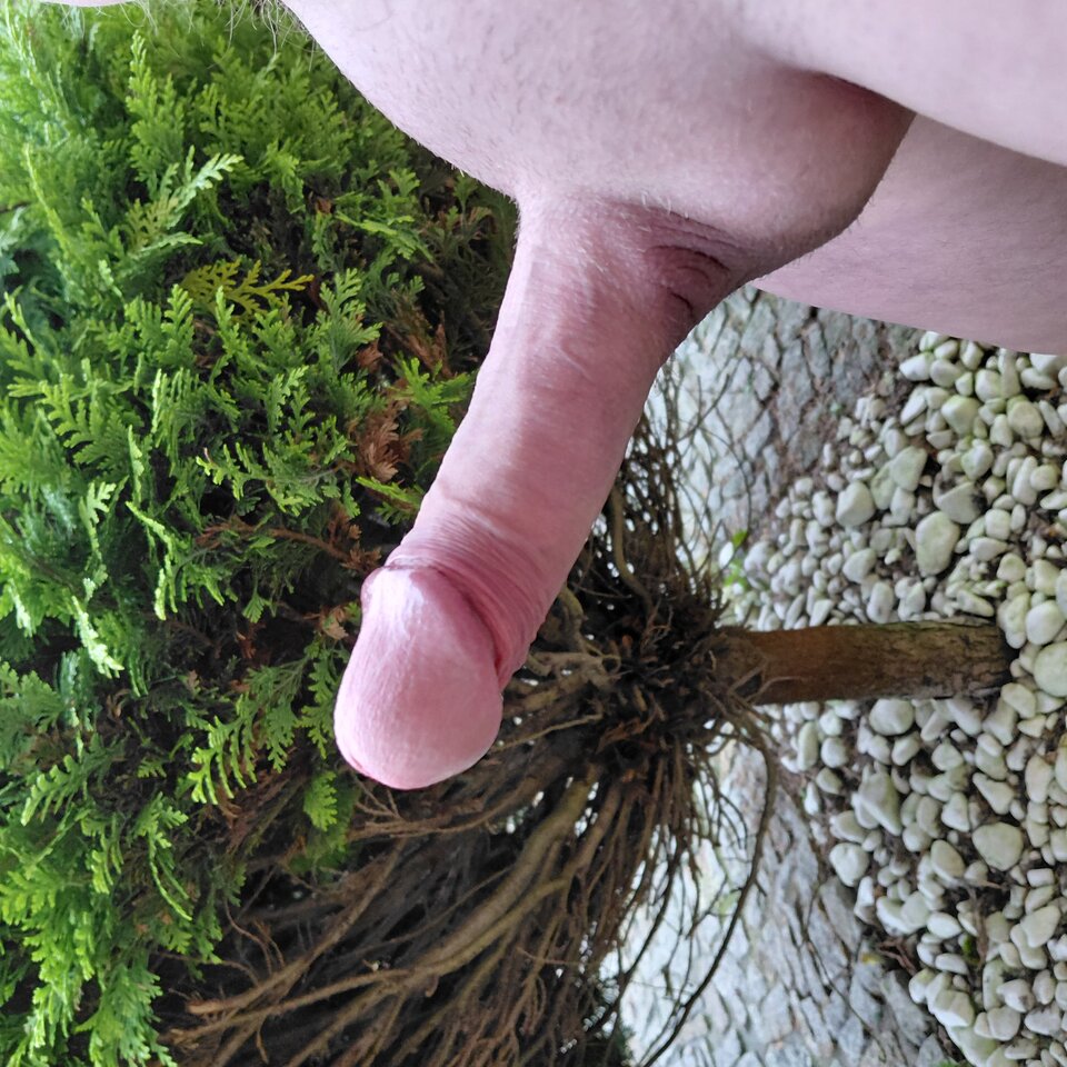 1000003828.jpg - hej34