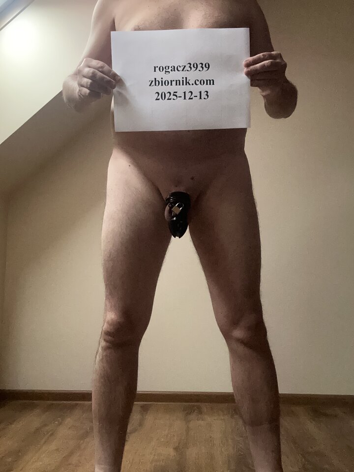 IMG_3971.jpeg - rogacz3939