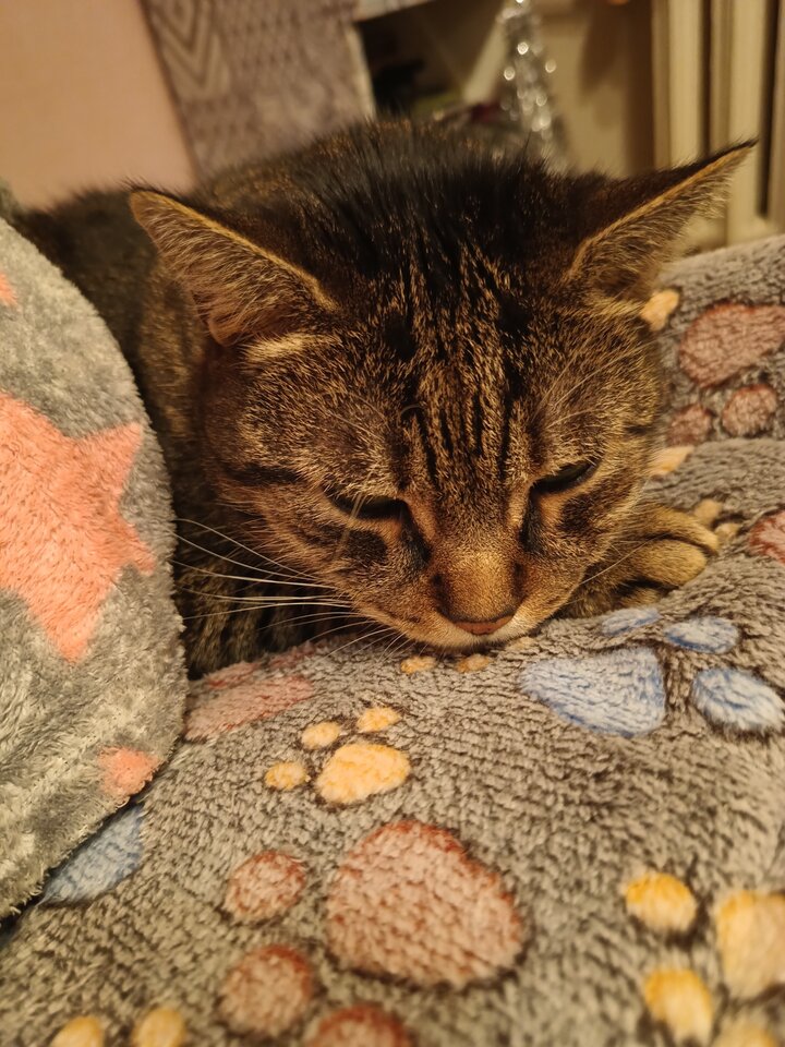 IMG_20251212_191416451.jpg - brunetkakr